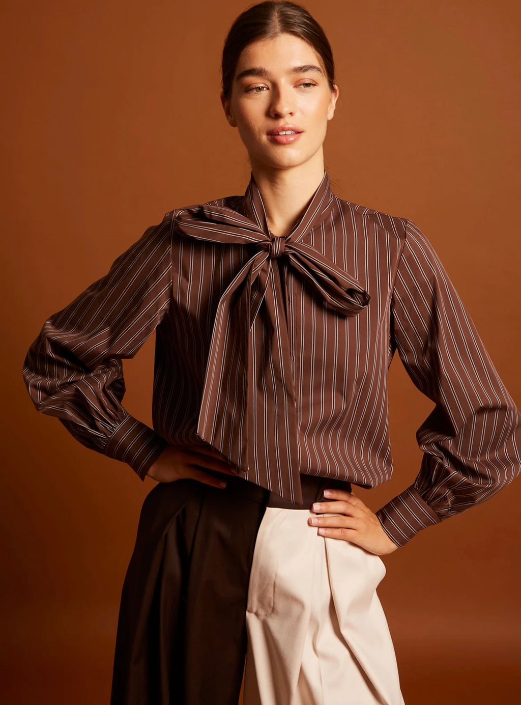 Camisa María marrón