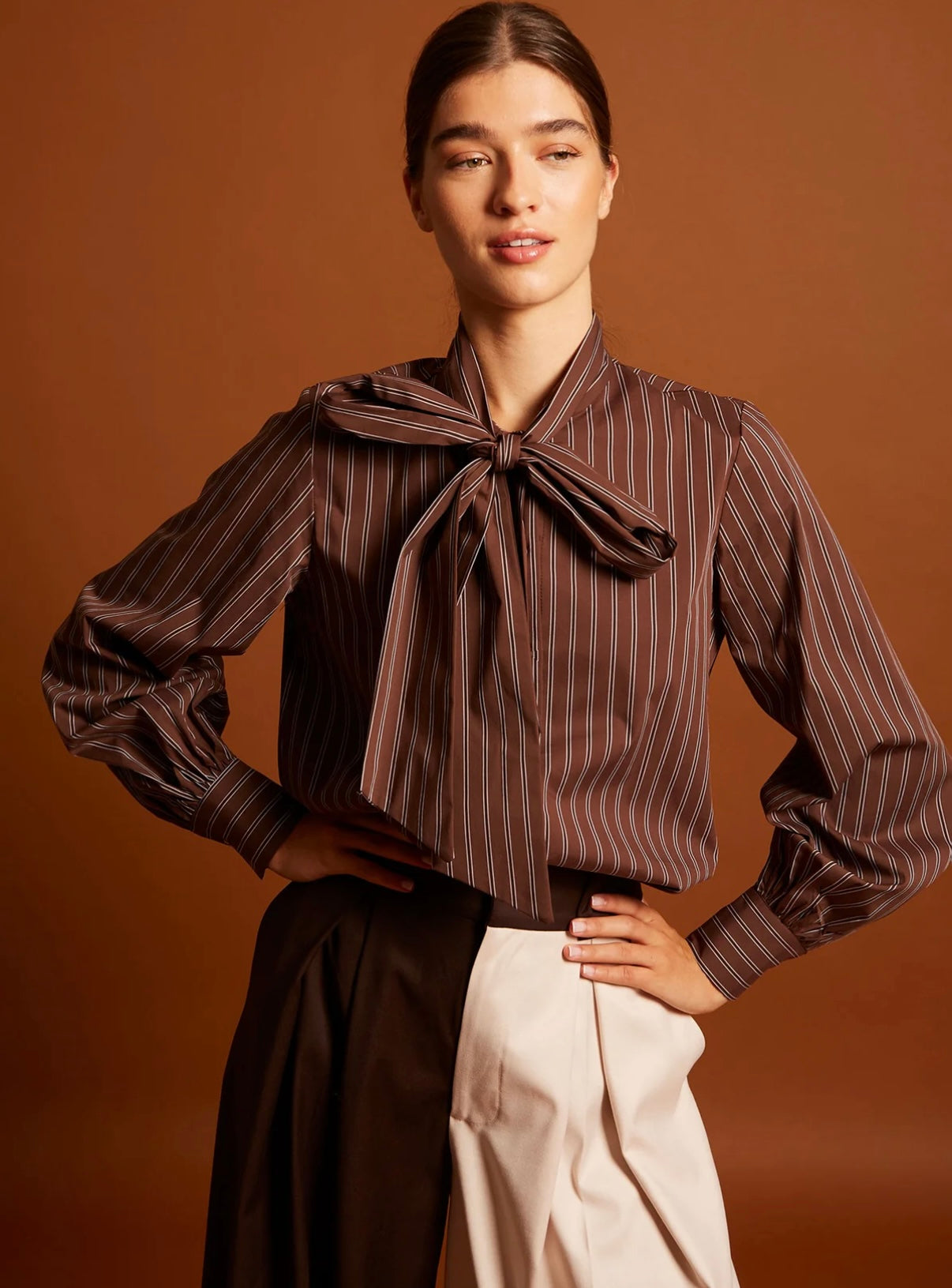 Camisa María marrón